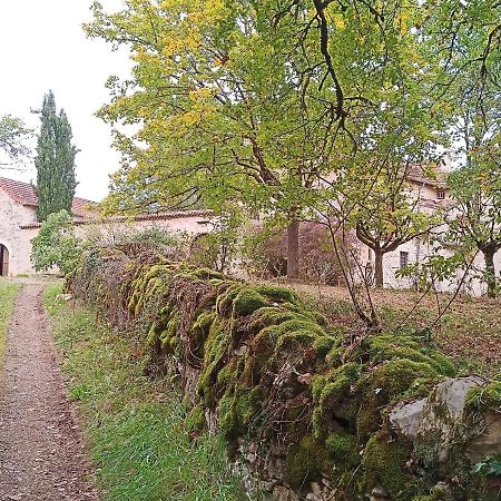 Les Granges De L Abbaye Bed & Breakfast Ginals Ngoại thất bức ảnh